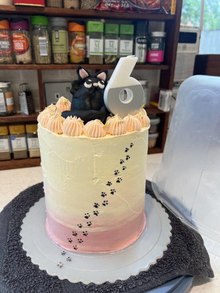 Cat themed cake for my daughter’s birthday