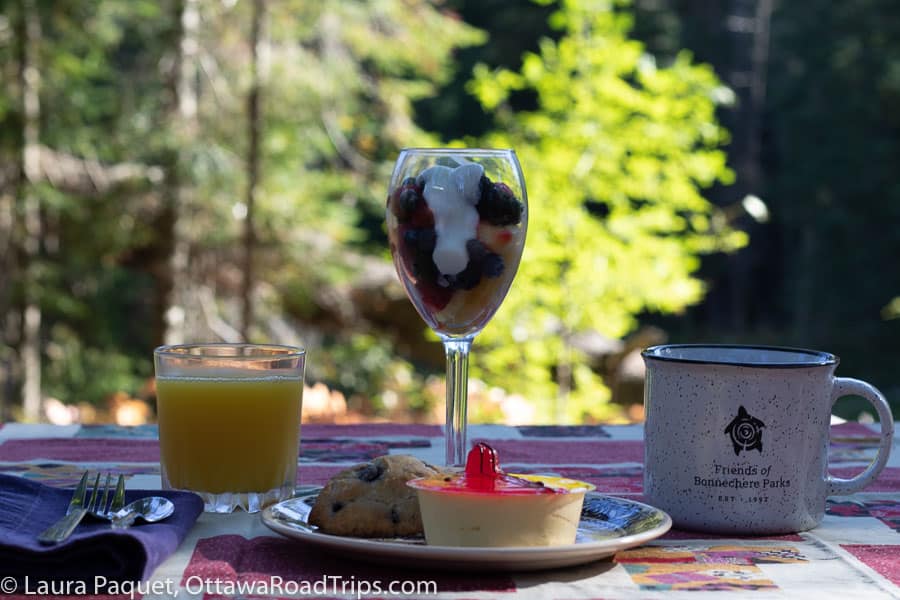 mini mousse cake, yogurt parfait and orange juice on red and white tablecloth on picnic table