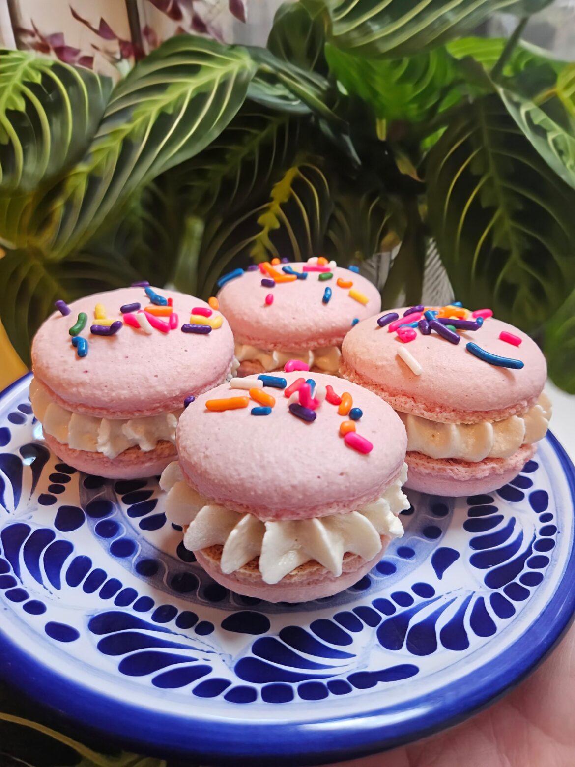 Raspberry macarons 💕