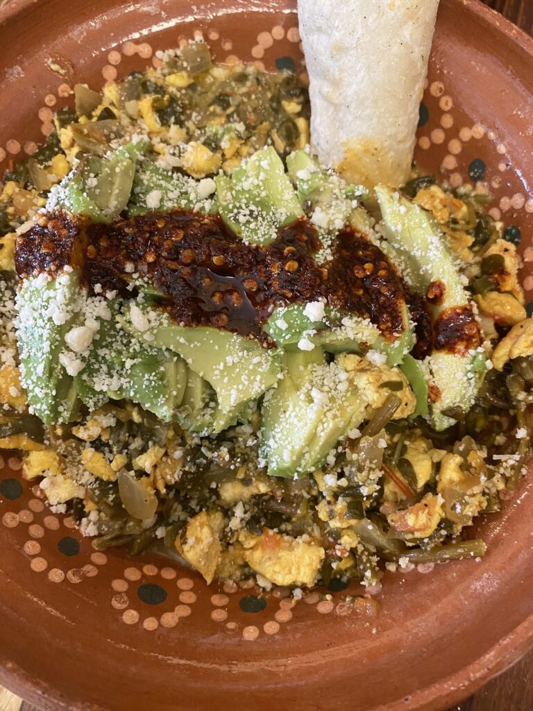 Verdolagas from my parents’ front yard