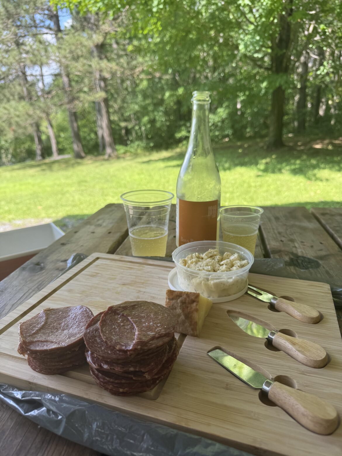 Picnic spread after a hike