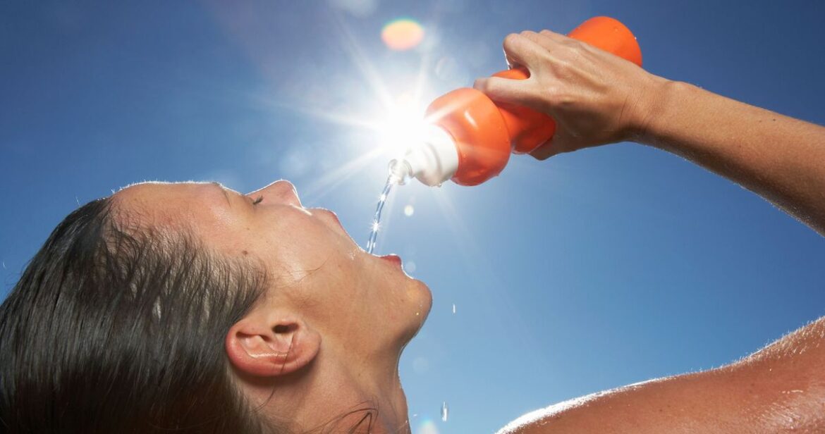 Everything You Need to Know About Electrolytes Everything You Need to Know About Electrolytes