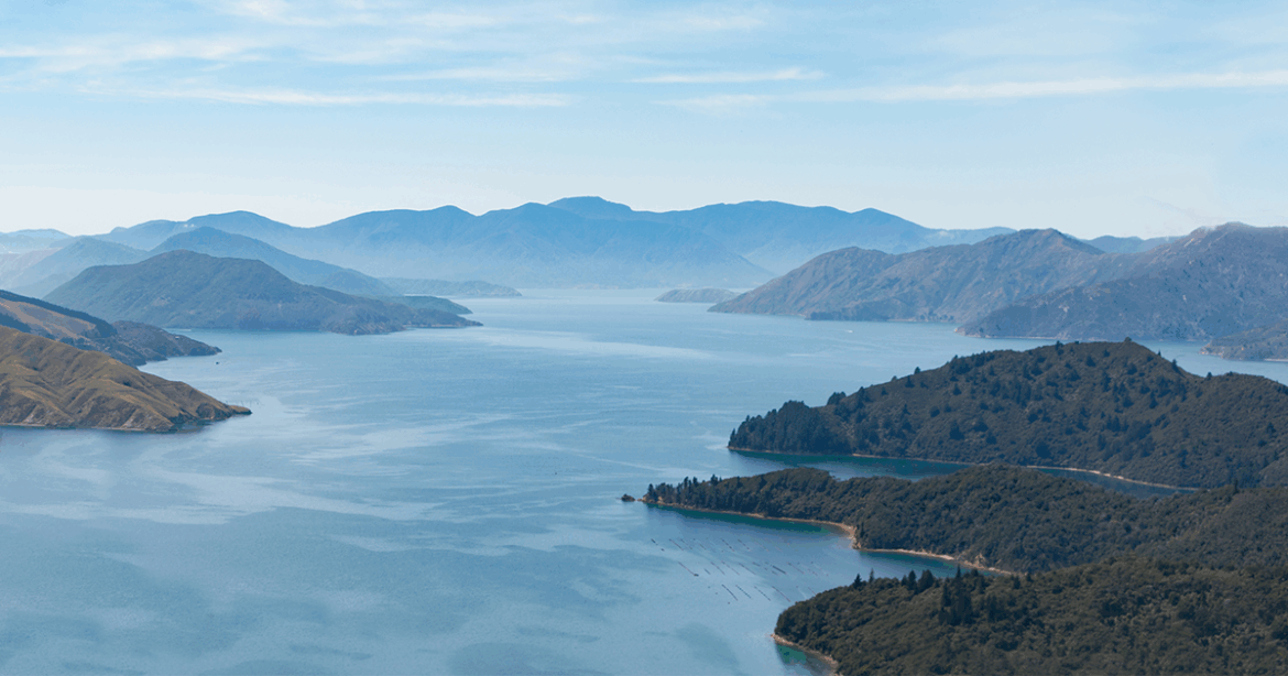 Top New Zealand wines to try Top New Zealand wines to try