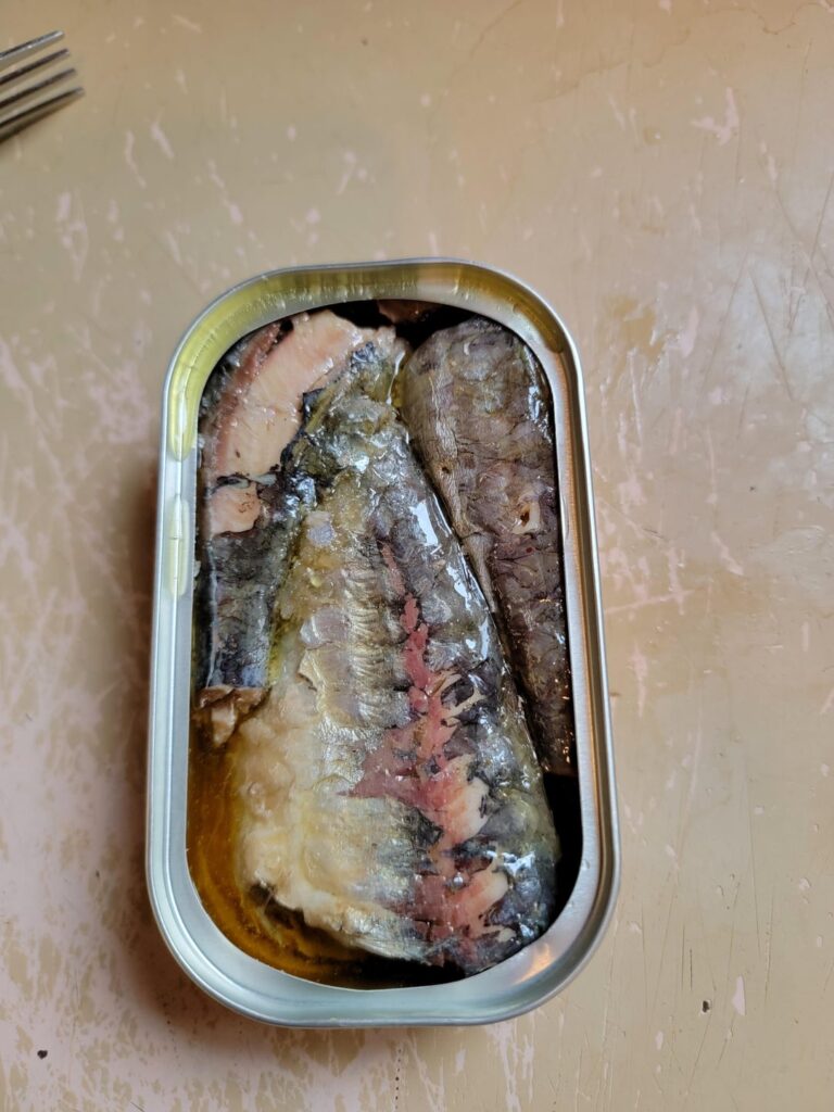 Biggest sardine I've sine!