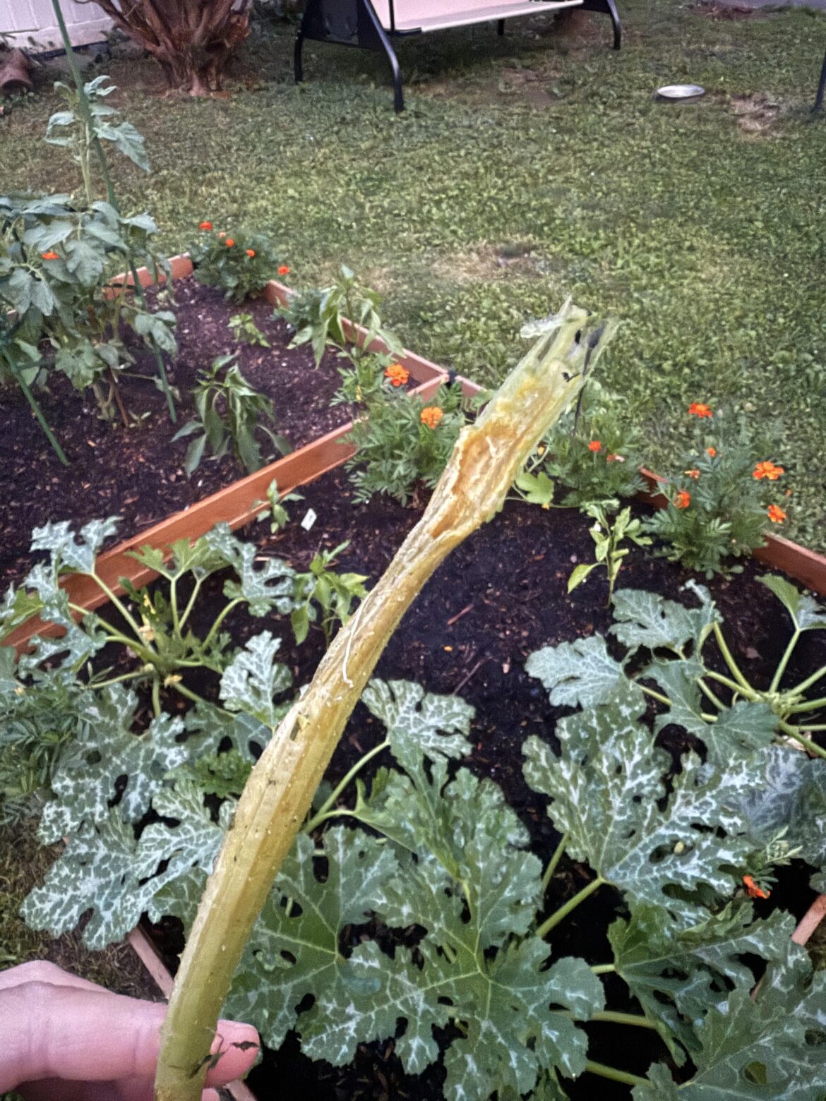 please tell me this isn’t what I think it is 😐