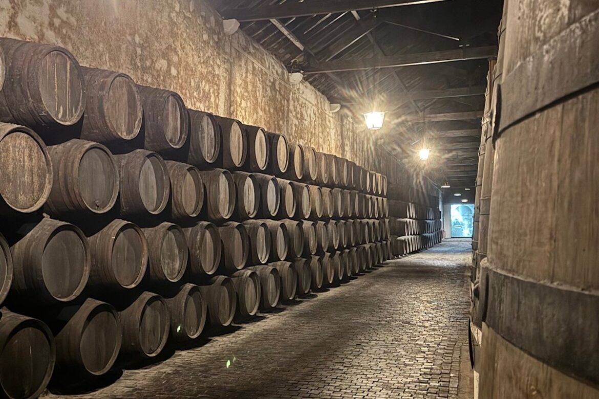 Column: Porto Ferreira cellar tour, tasting in Portugal