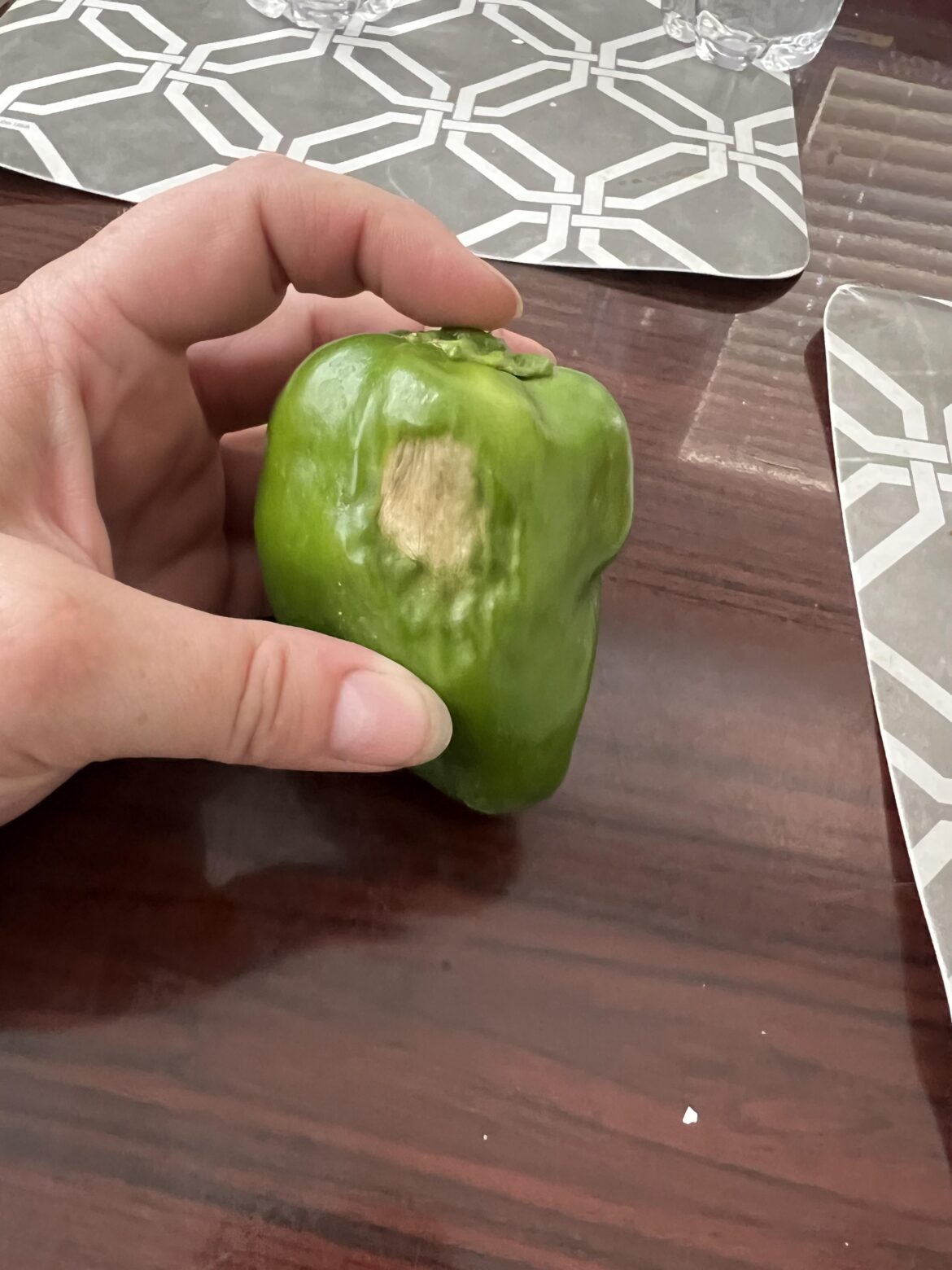 Is this blossom end rot? Is this blossom end rot?