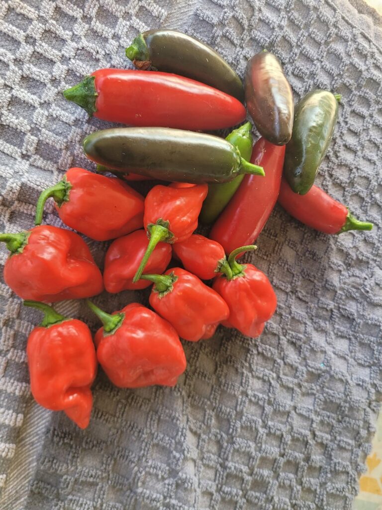 Getting ready for salsa