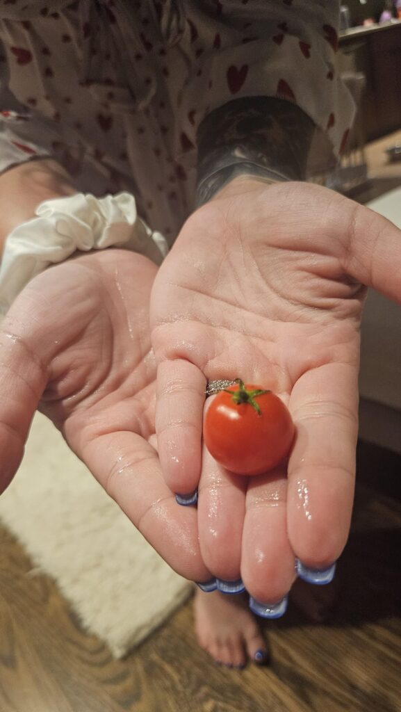 My wife wanted to show off her perfect tomato