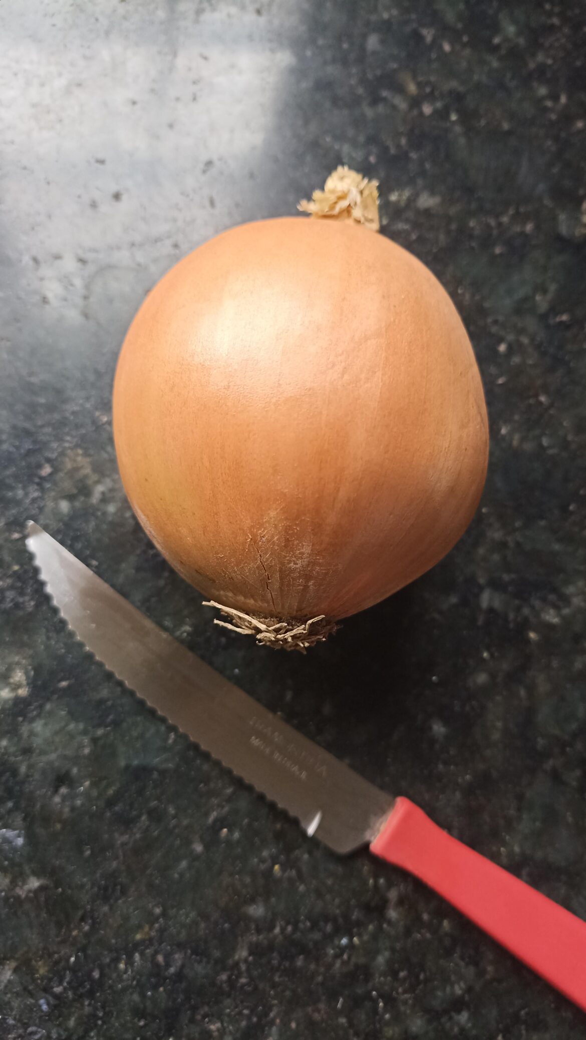 no captions, just a pretty onion