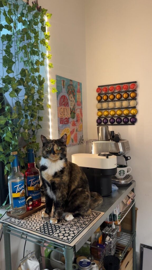 Coffee corner Supervisor