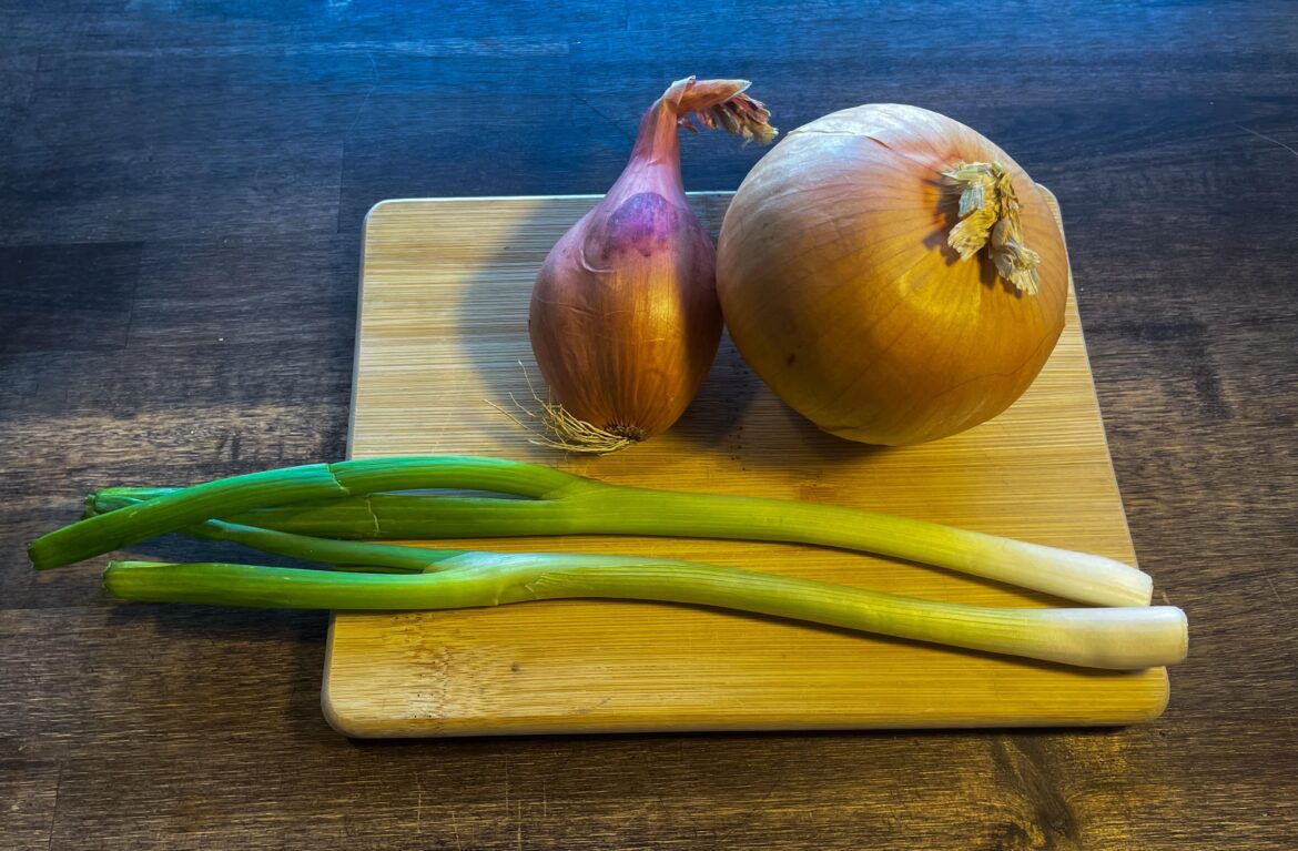 The “Onion Family” Portrait