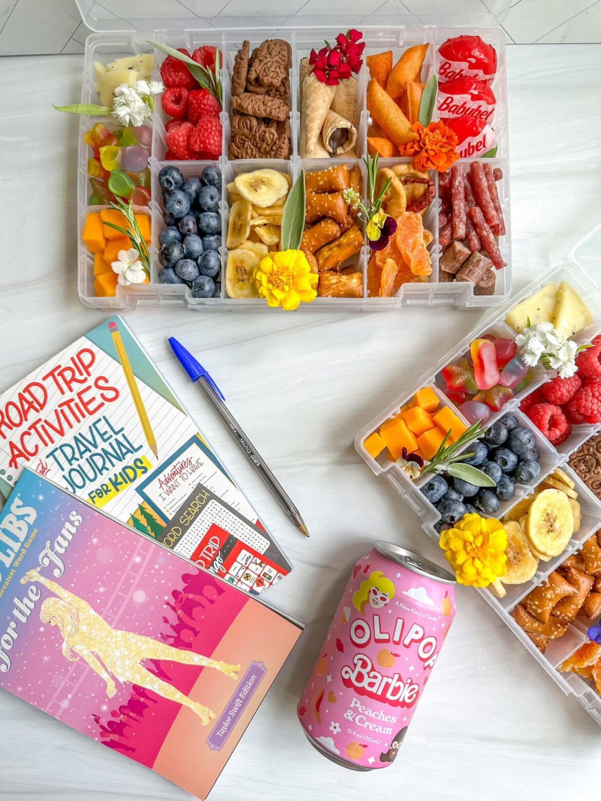 Road trip essentials