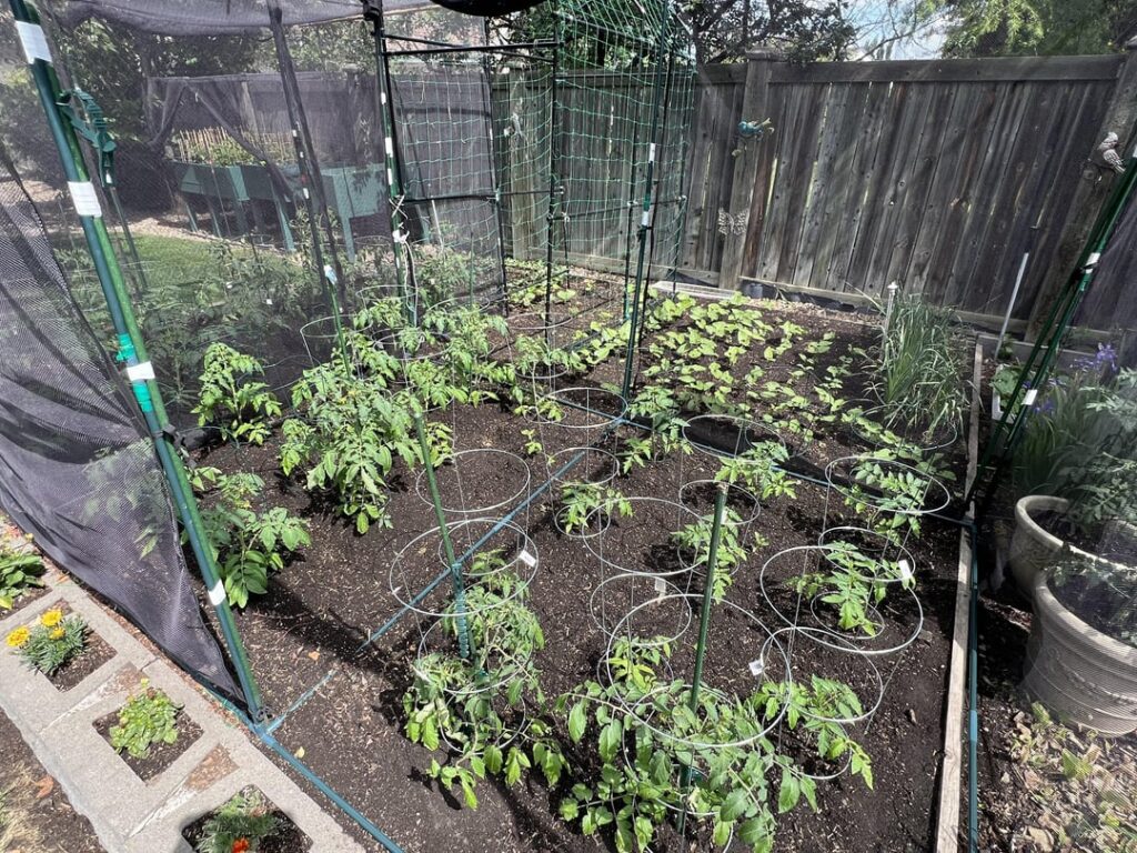 How it started vs how it’s going