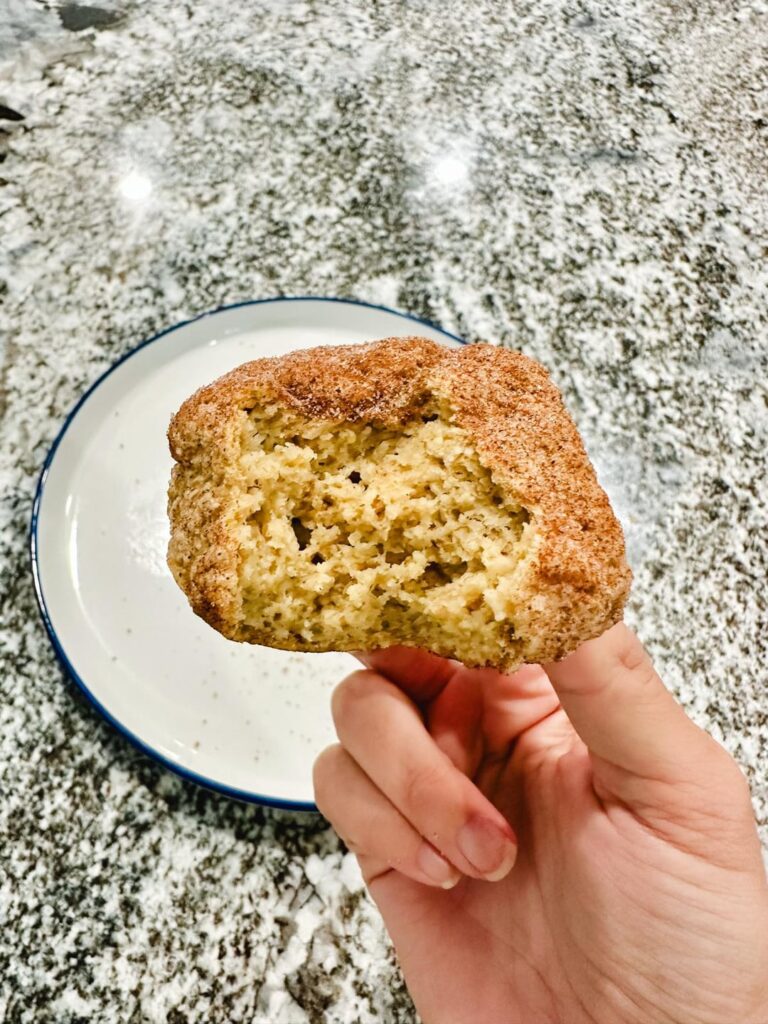 Vegan cinnamon sugar balls