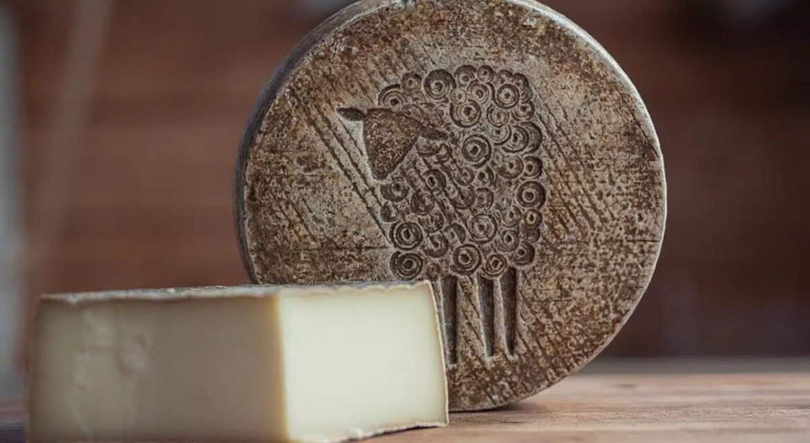 Day 1708 of posting images of cheese until I run out of cheese types: Prairie Tomme