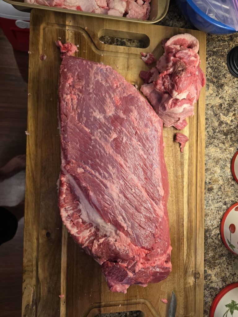 First Brisket Feedback