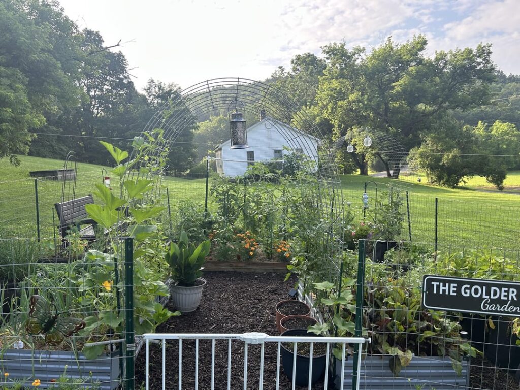 My second year gardening and I’m so proud I needed someone else to see it!