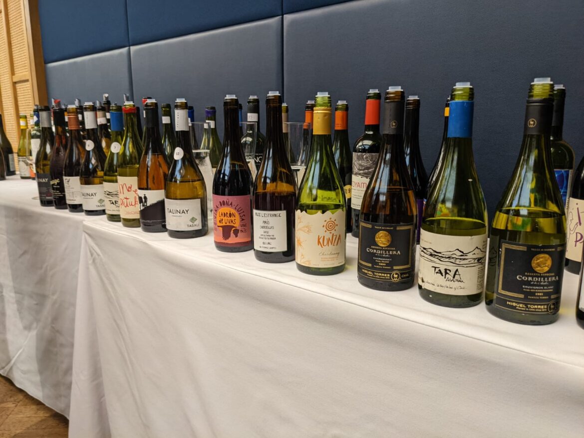 David Kermode: niche wines that show the lesser-known Chile