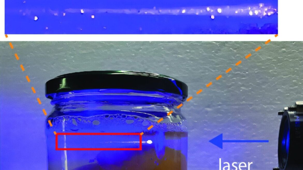 Edible Microlasers Could Revolutionize Food Tracking and Safety