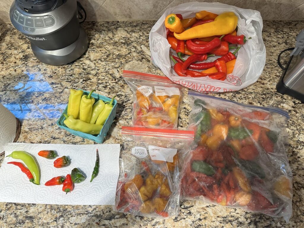 We will blend the old with the new. Linking time and flavor of heat that bends neither spice and time 😁