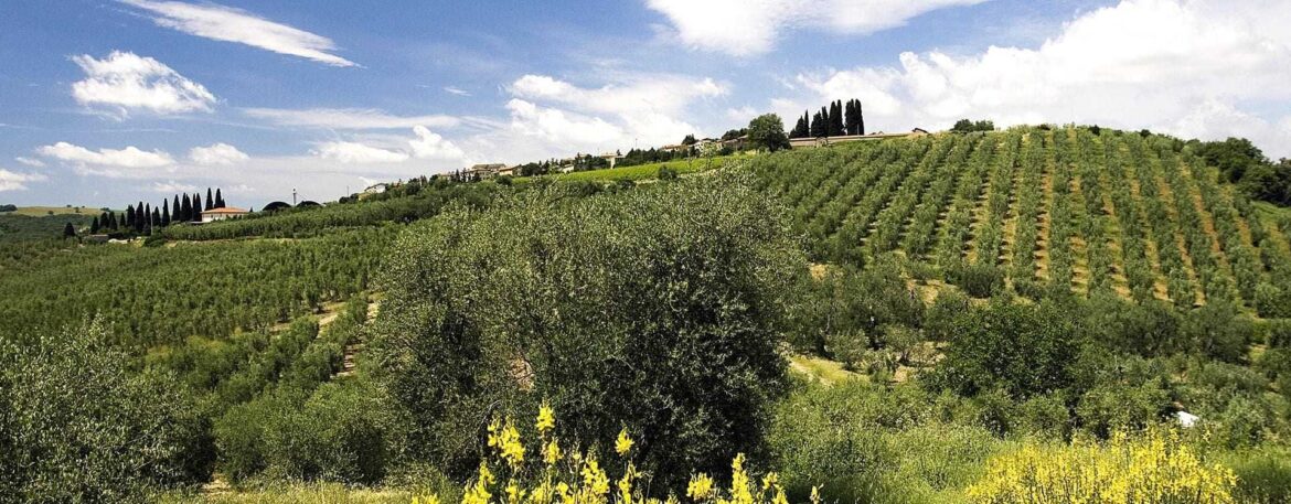 Moulin de Villevieille, Pride of the Garrigues Moulin de Villevieille, Pride of the Garrigues