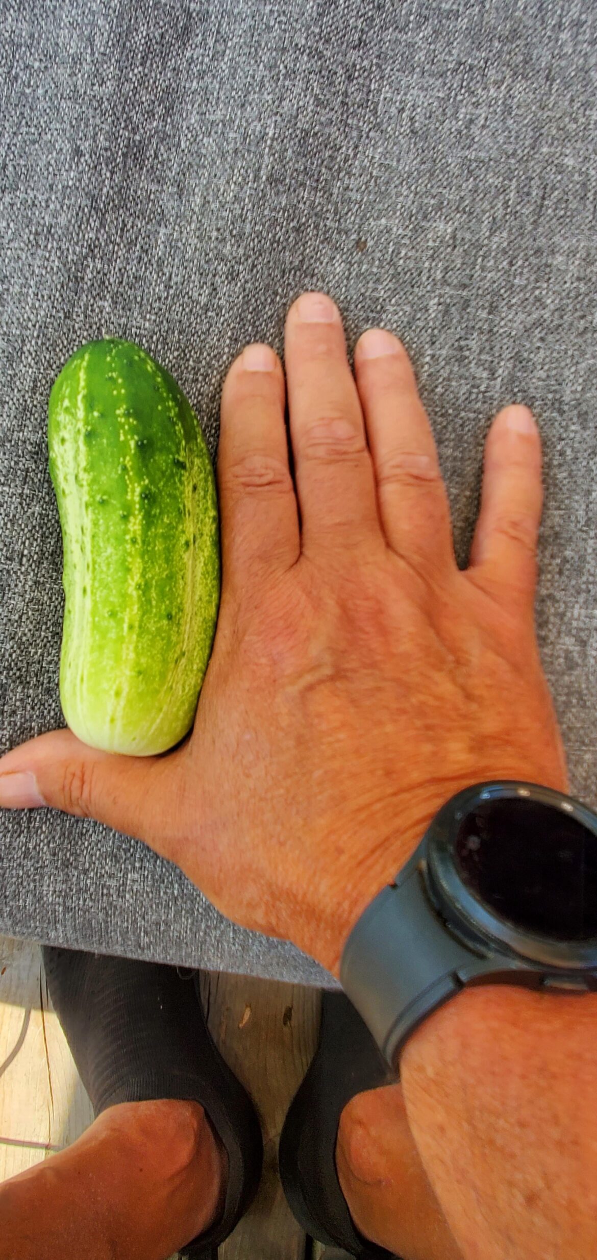 My First Harvest of 2025