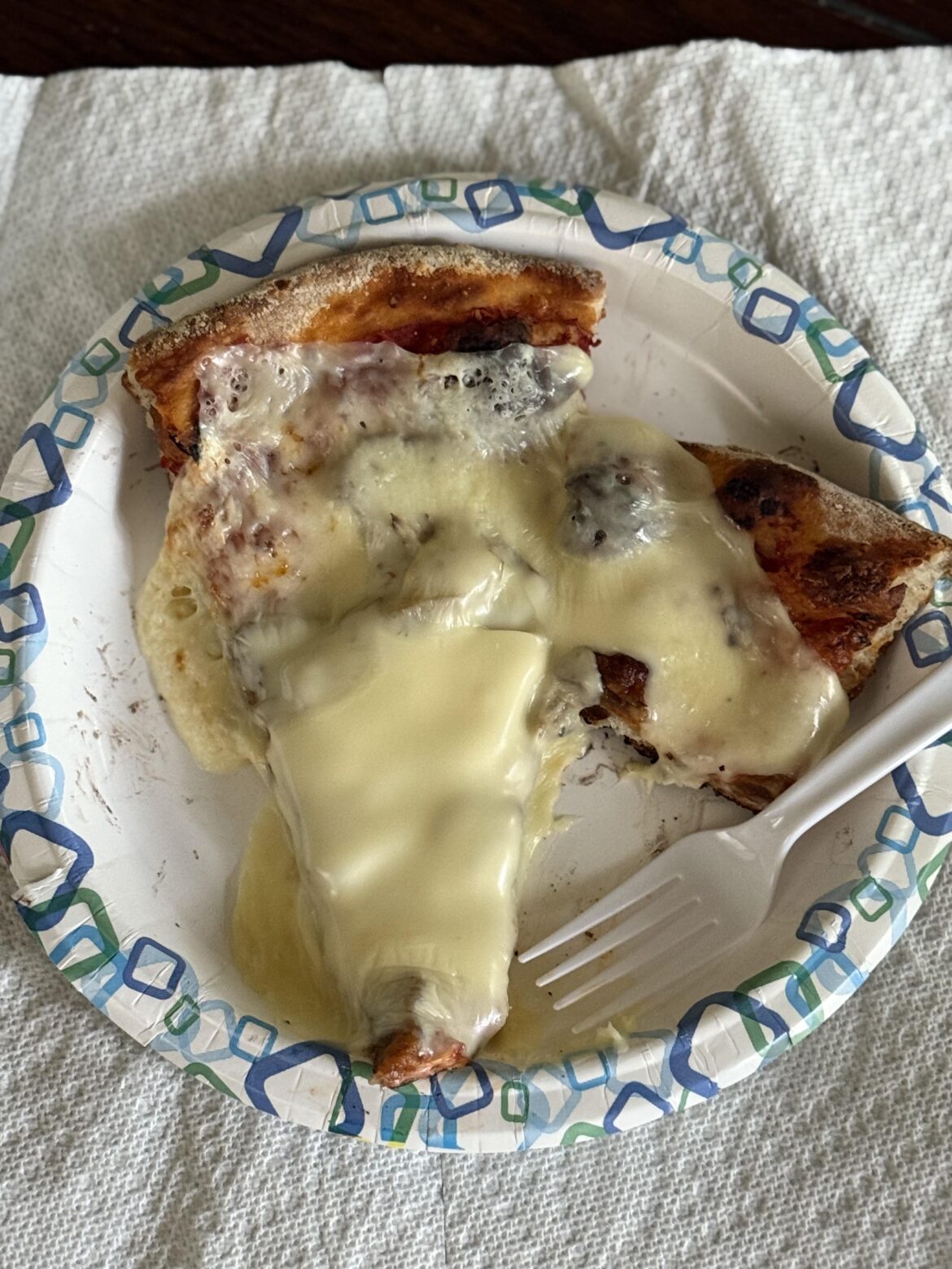 Takeout was a few days old and I wanted to spruce it up with sliced American cheese