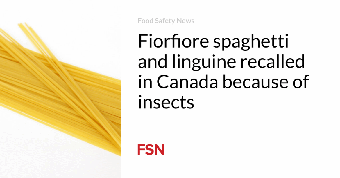 Fiorfiore spaghetti and linguine recalled in Canada because of insects