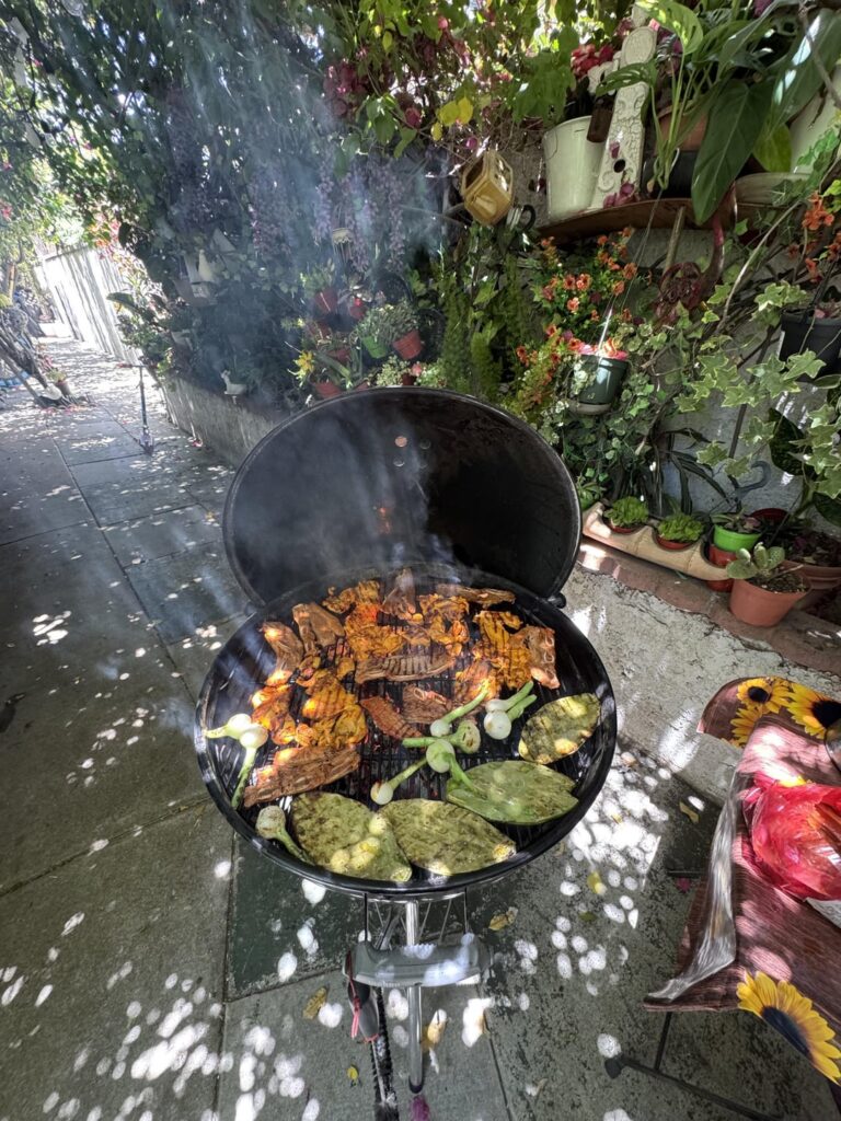 Carne and Pollo Asado with Sides