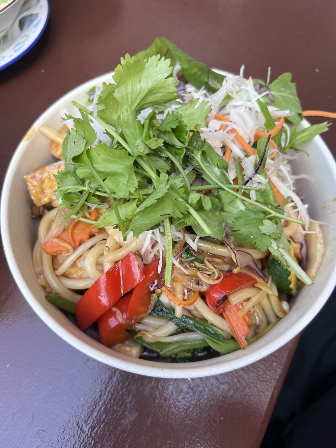 Vegan Udon noodles