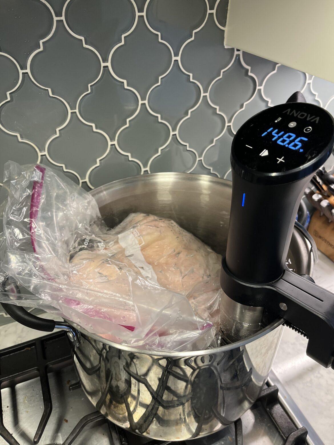 Advice Requested: Sous Vide Bag
