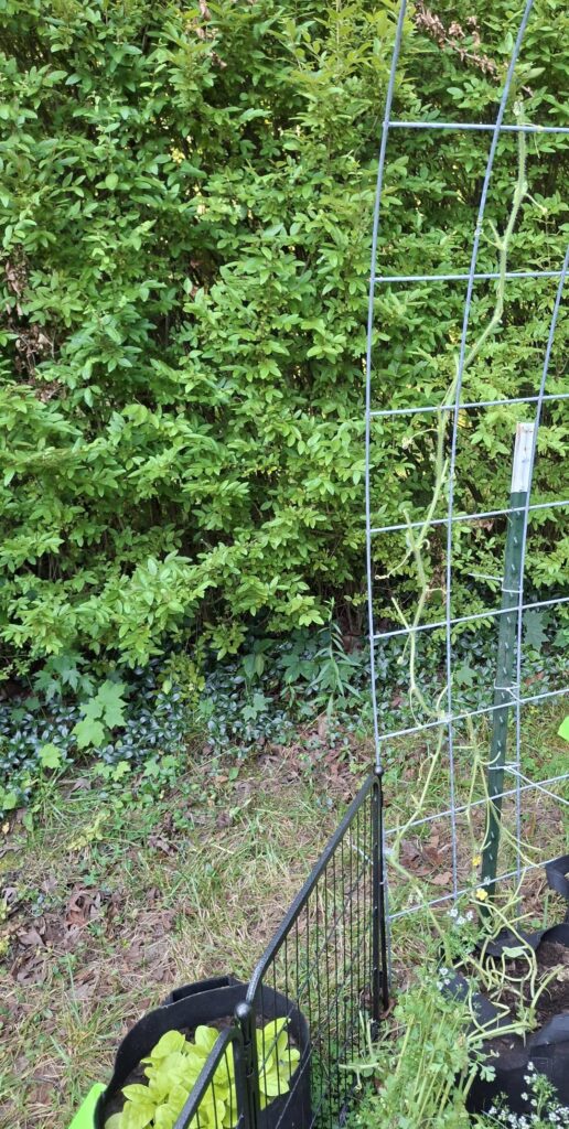 an absolute MURDER has occured 😭