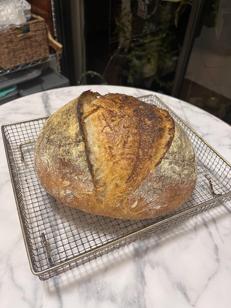 My best oven spring ever