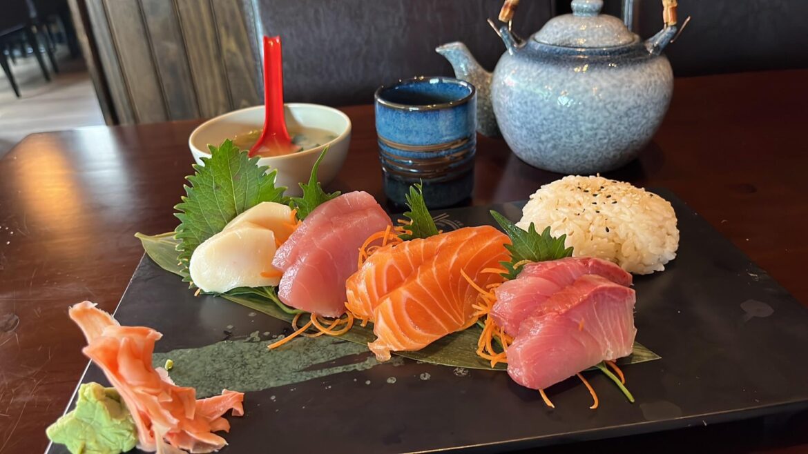 Would you pay $20 for this sashimi lunch?
