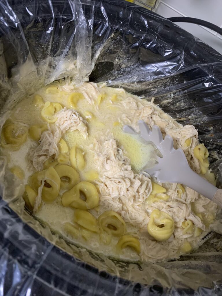 Sister in law made “chicken Alfredo”