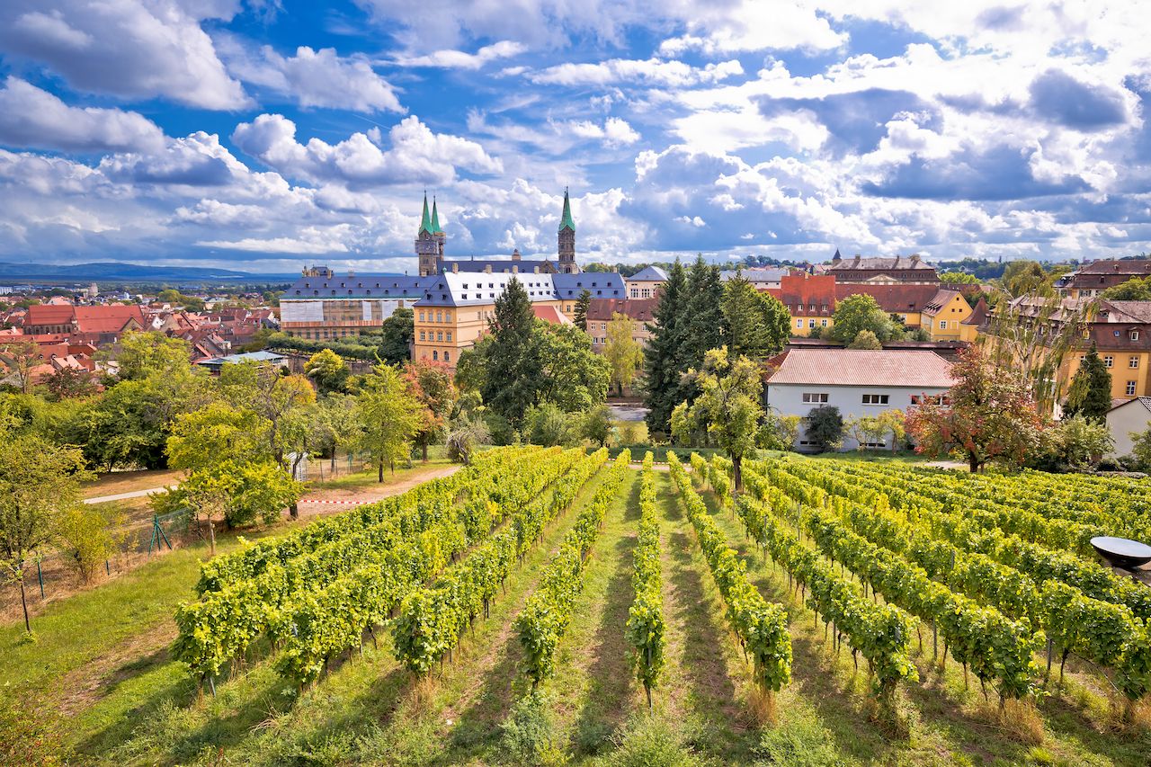 Bamberg germany vineyards in franconia wine region