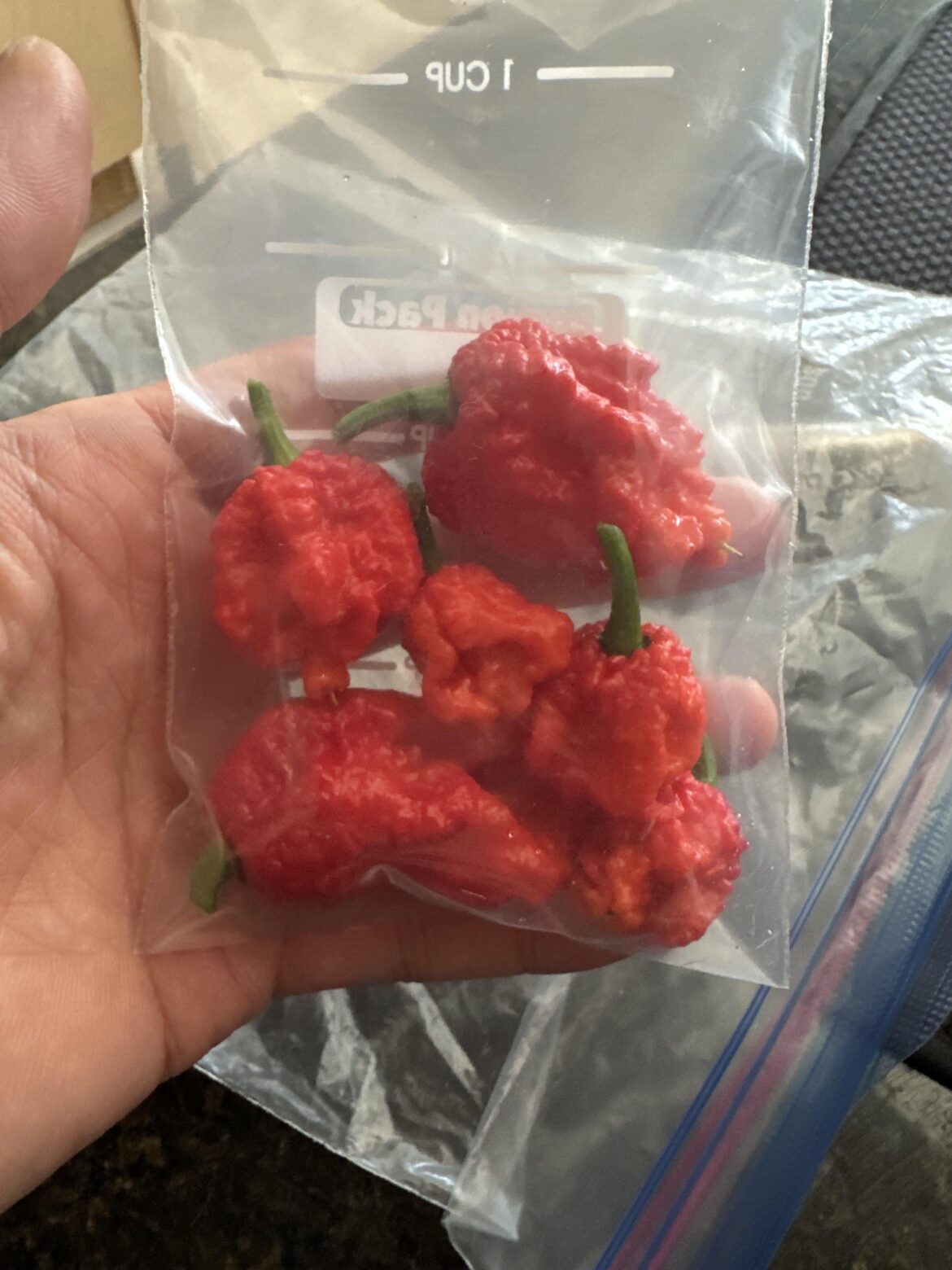 got these today, never tried them. what to expect?