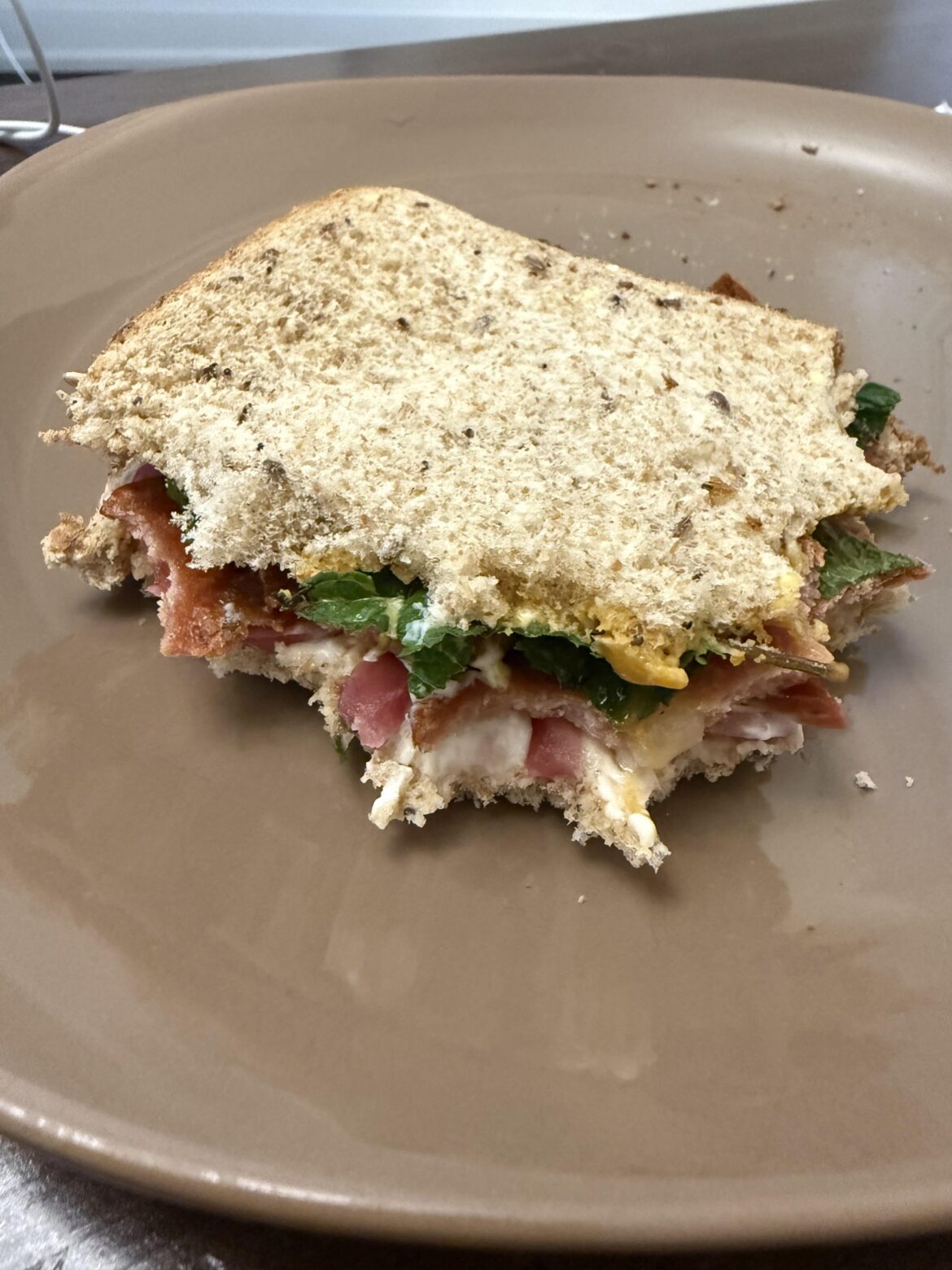 was my sandwich this morning a food crime? high fibre bread, habanero mustard, fried mortadella, pickled red onions, mayo, and a handful of mint.