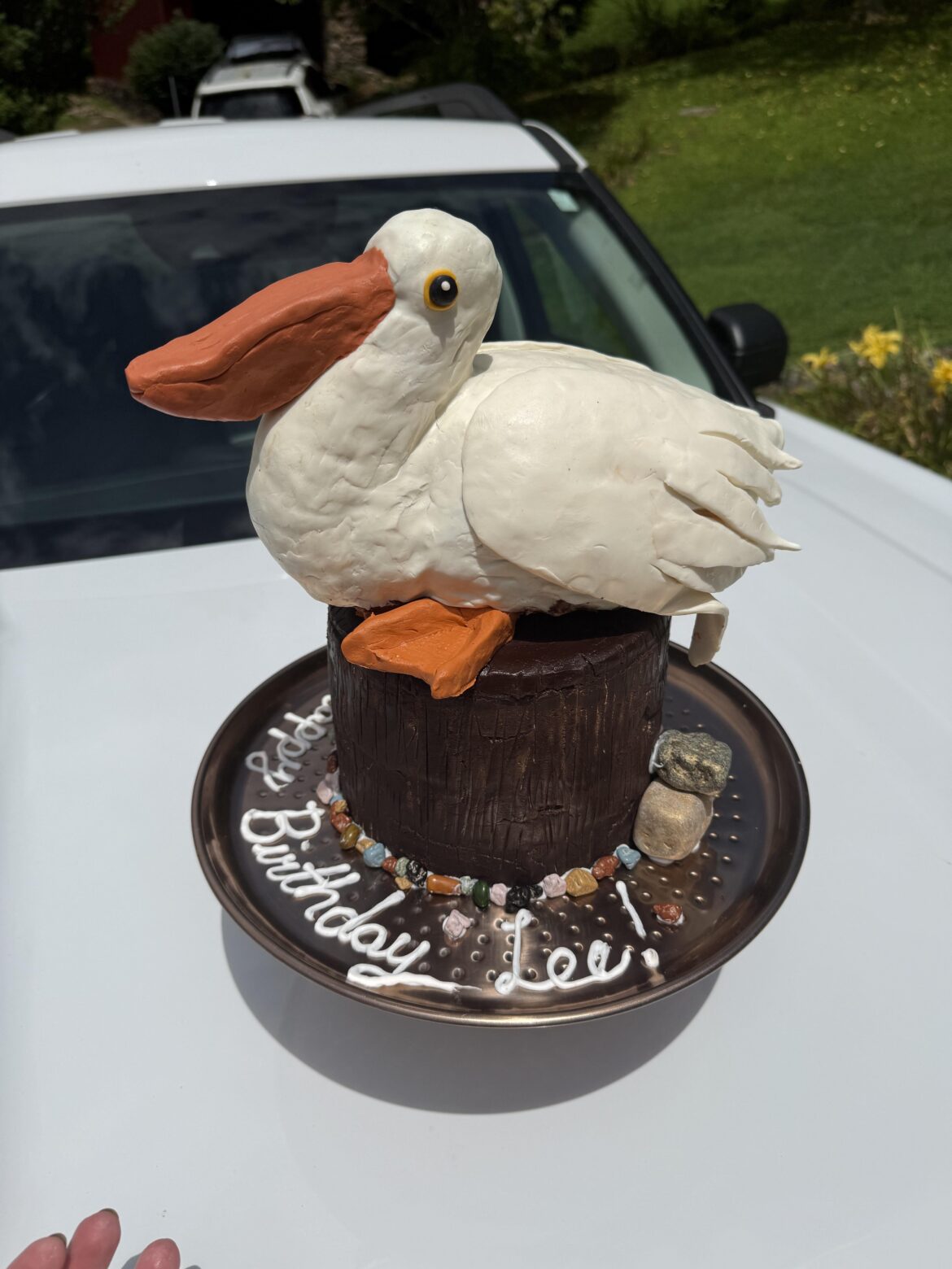 Behold: my pelican cake