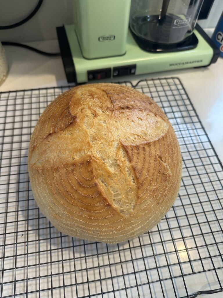 Please rate my first sourdough.
