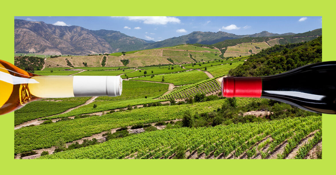 10 of the Best Carménères From Chile