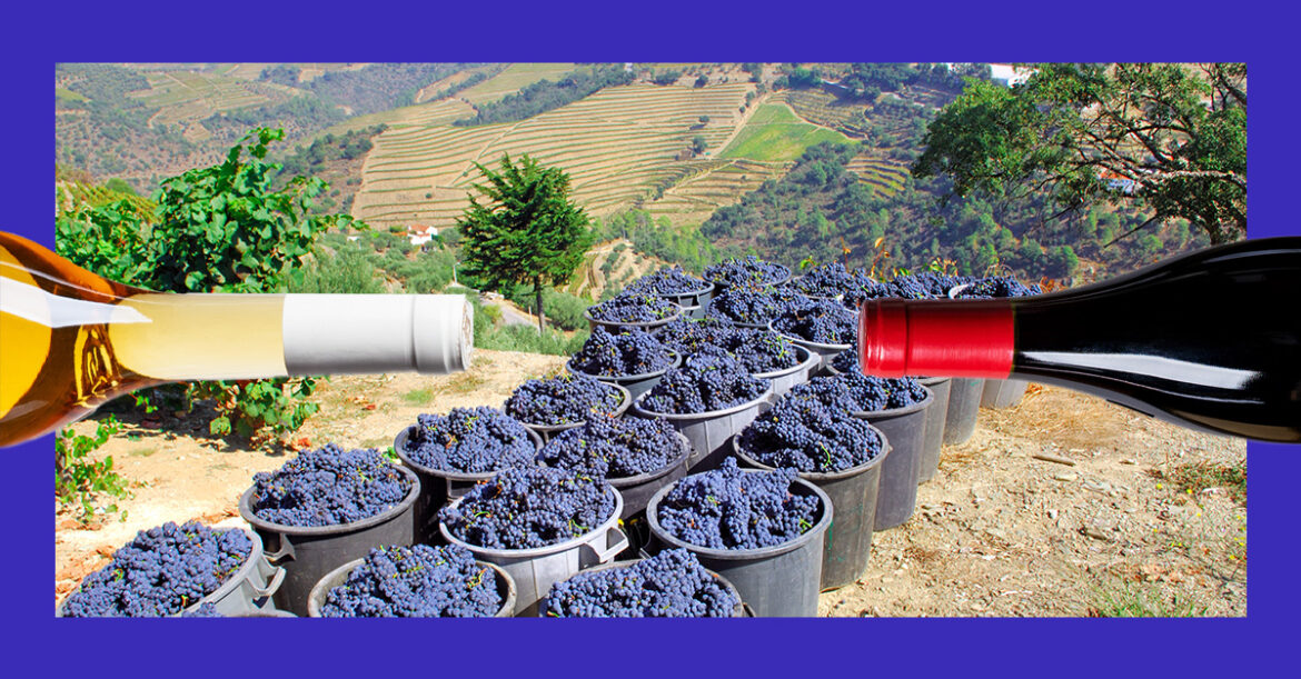 6 of the Best Red Wines From Portugal