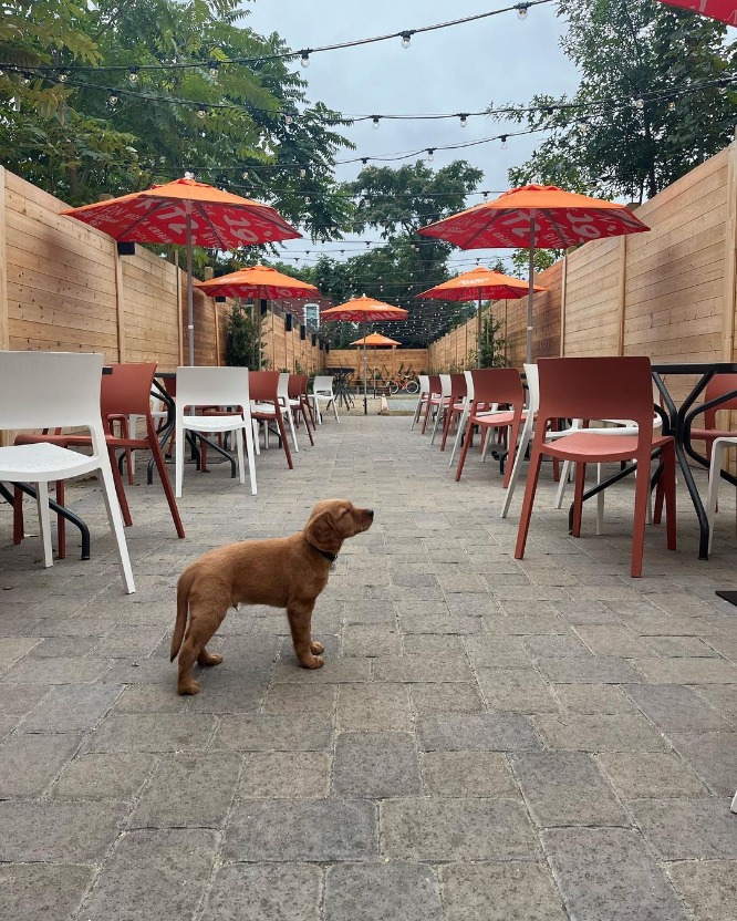 gufo cambridge outdoor patio