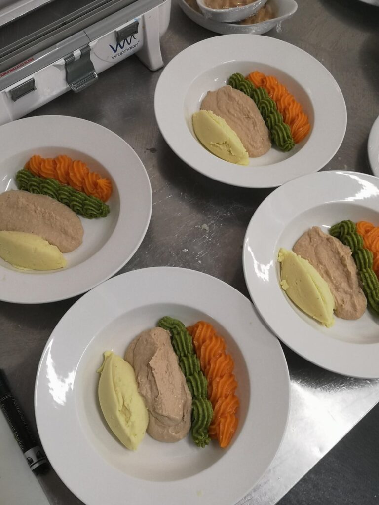 For anyone wondering what decent purée meals look like.