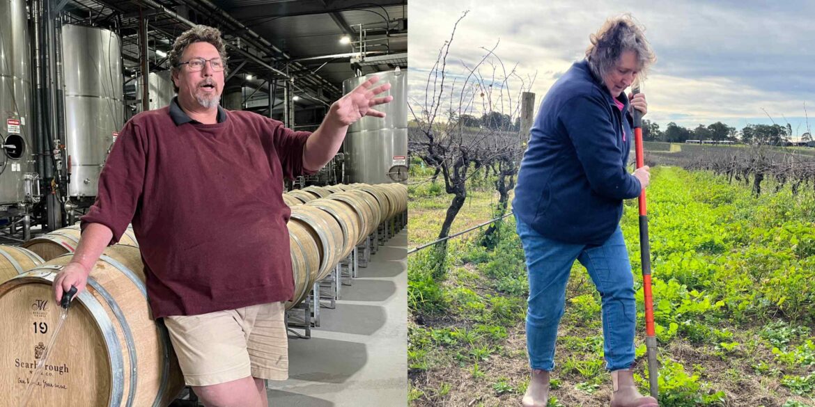Australian wineries face headwinds from tariffs, heat and changing tastes