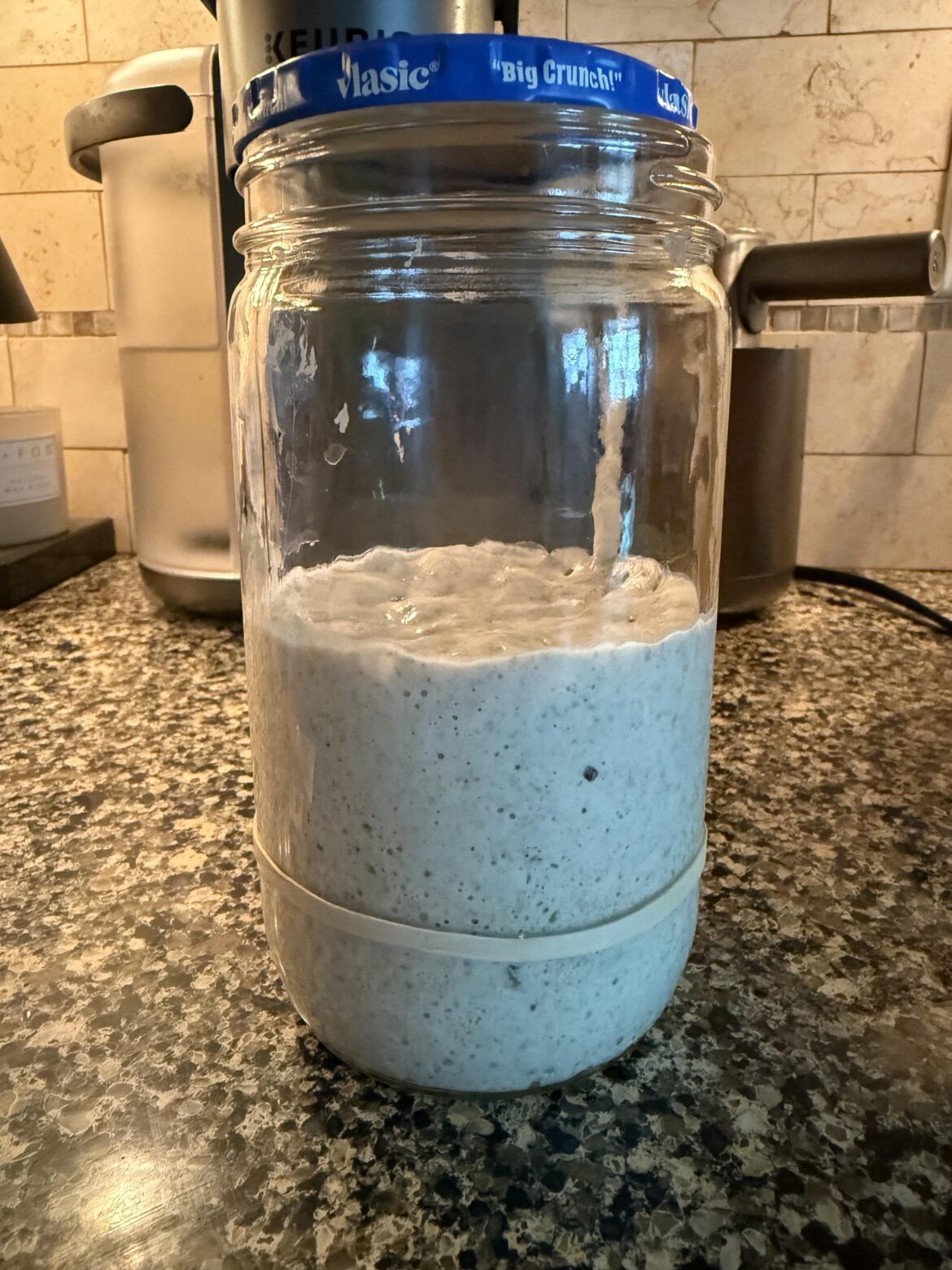 my sourdough starter after being unfed in the fridge for 6 months my sourdough starter after being unfed in the fridge for 6 months