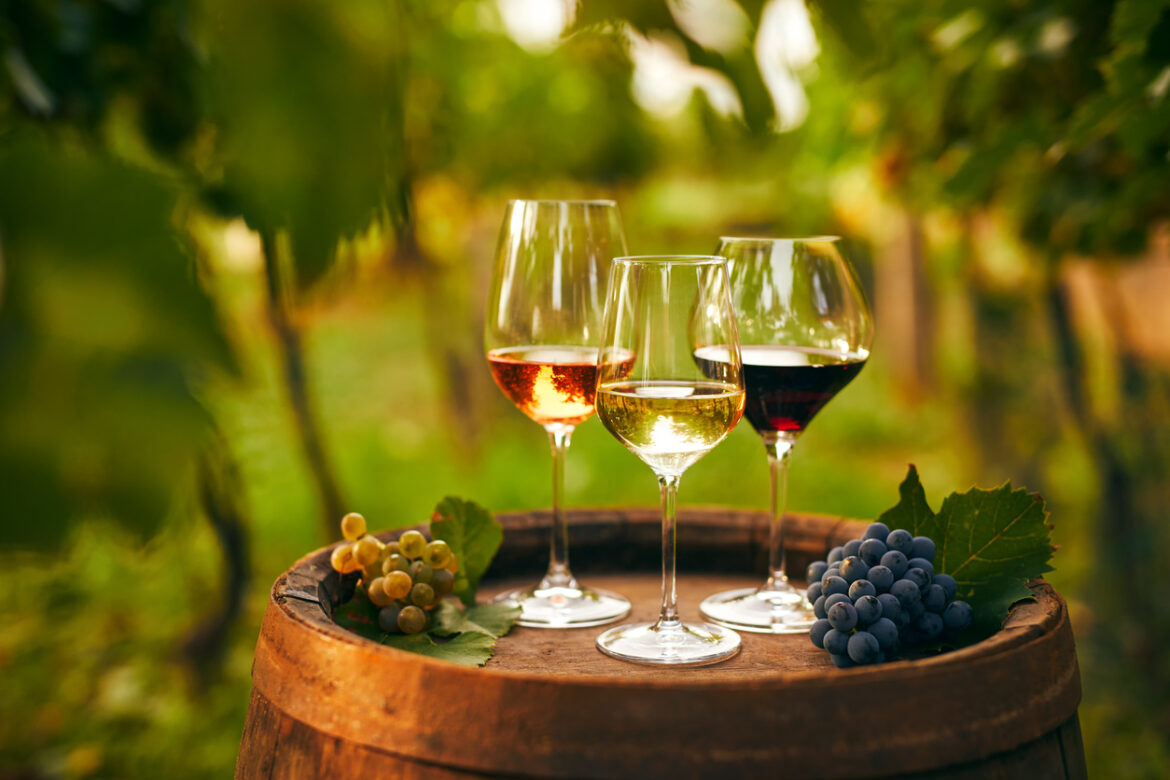 Australian wine future fund