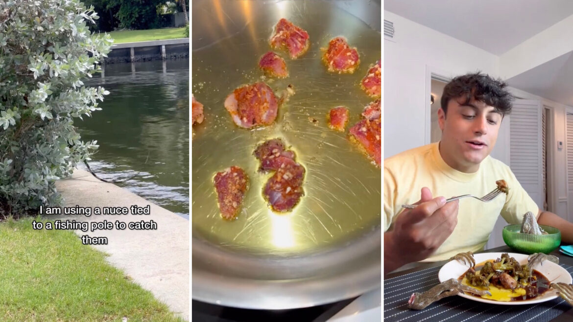 Expert shares simple recipe using invasive lizards wreaking havoc on US region: ‘How does it taste?’ There were lots of curious people in the comments.