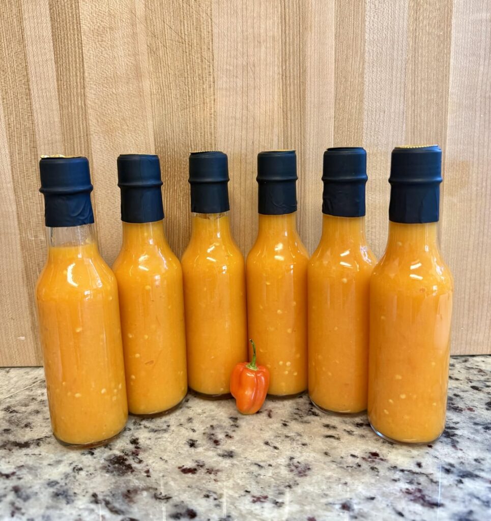 30 day fermented habanero sauce!